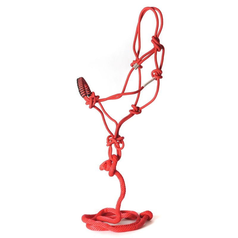 Basic Braided Rope Nose Poly Rope Halter