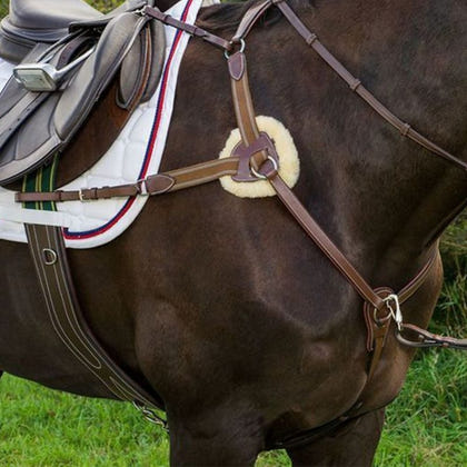 HDR Pro 5 Point Elastic Breastplate