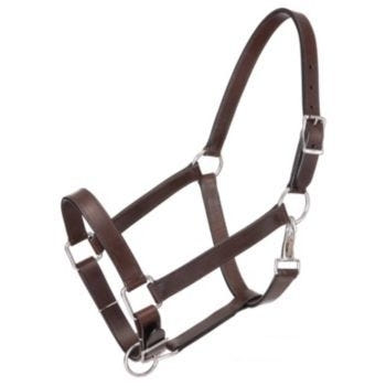 Tough1 Leather Draft Stable Halter