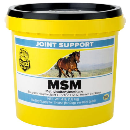 Select The Best MSM Joint Support for Horses