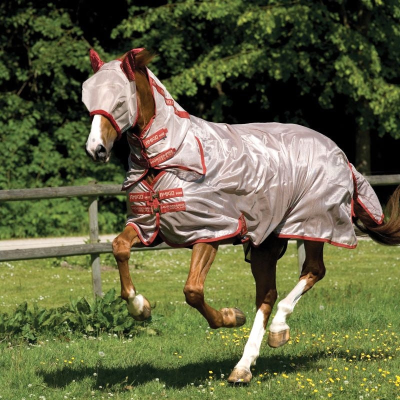 Amigo Mio Combo Fly Sheet