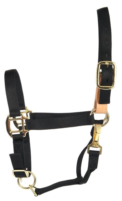 Deluxe Breakaway Fuse 3-Ply Nylon Halter with Snap