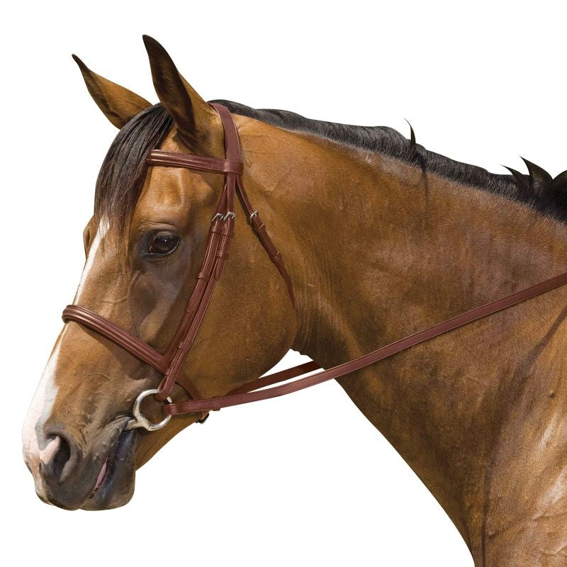 Kincade Padded Plain Raised Bridle