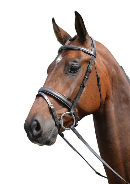 Kincade Flash Bridle
