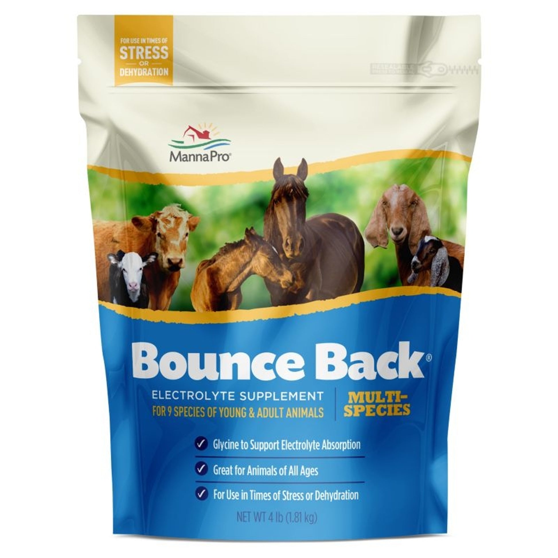 Manna Pro Bounce Back Electrolyte