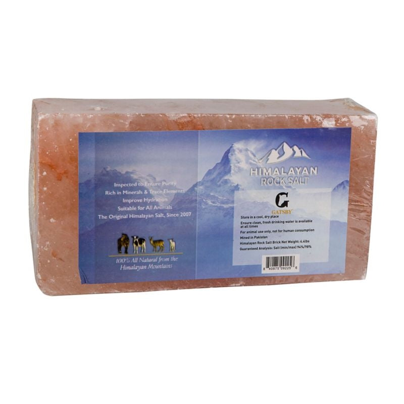 Gatsby Himalayan Salt Block