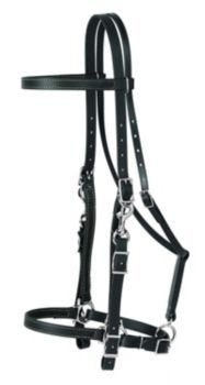 Weaver Brahma Synthetic Halter Bridle