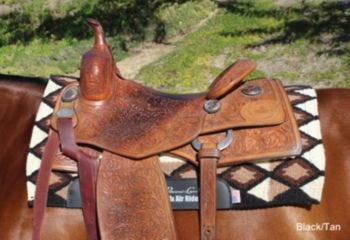 Professionals Choice SMX Quest Pad