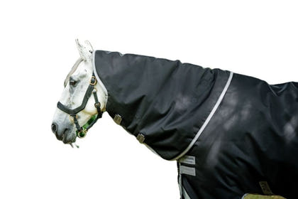 Amigo Bravo 12 Original Hood 150g