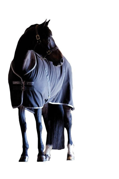 TE010153_463353_01.jpg