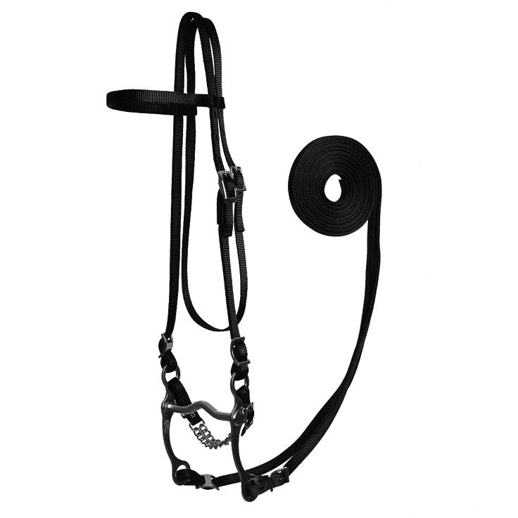 Fabtron Nylon Bridle with Bit