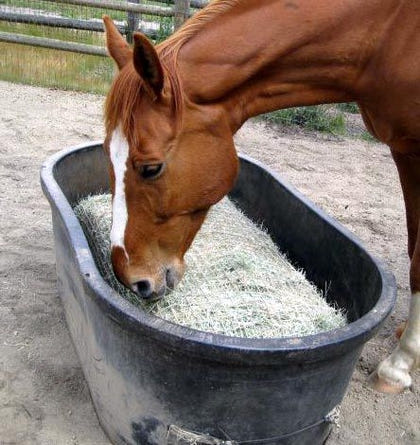 Freedom Feeder Full Bale Slow Feed Hay Net