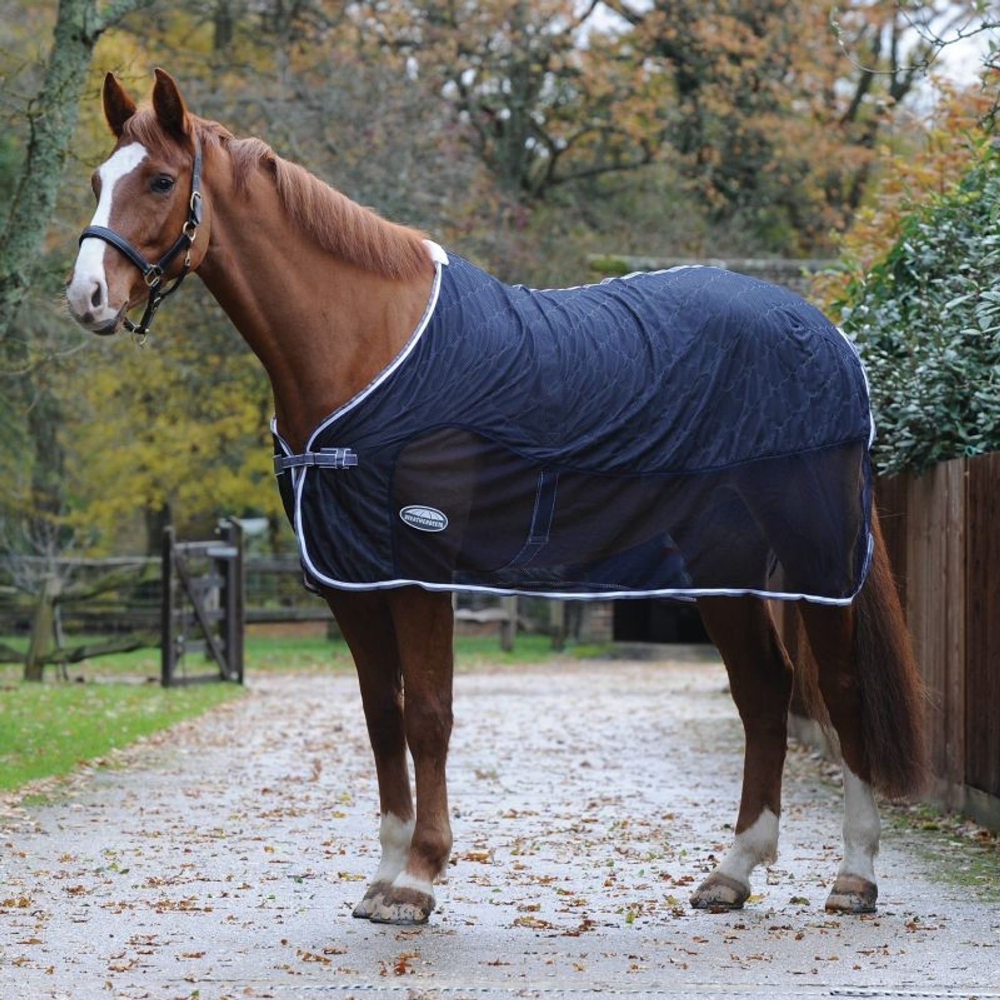 Weatherbeeta Wick-Dri Standard Neck Cooler