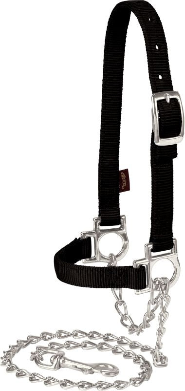 Weaver Nylon Adjustable Sheep Halter with Chain Lead