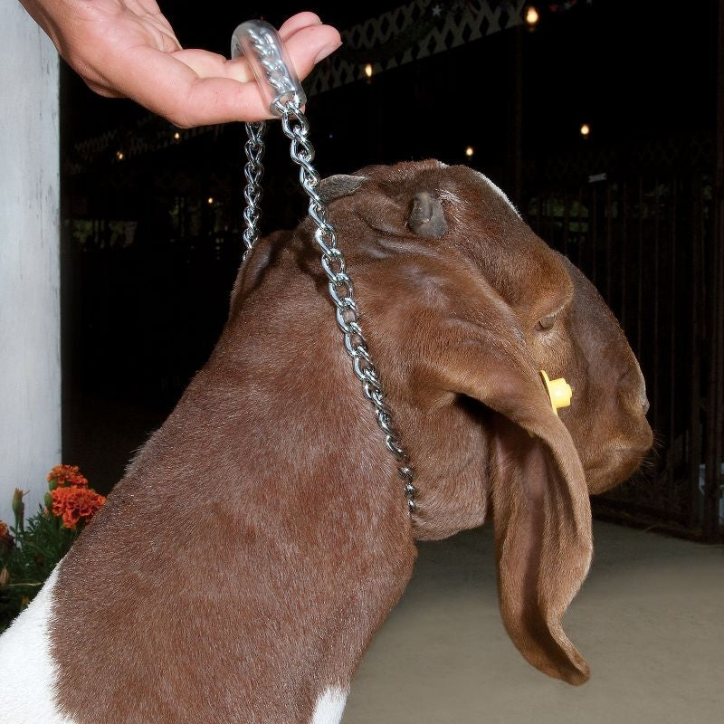 Weaver/ Chain Goat Collar with Rubber Grip