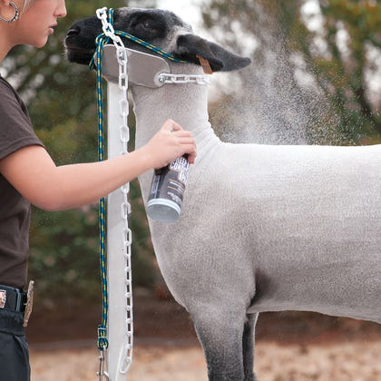 Sheep and Goat Conditioning Spray