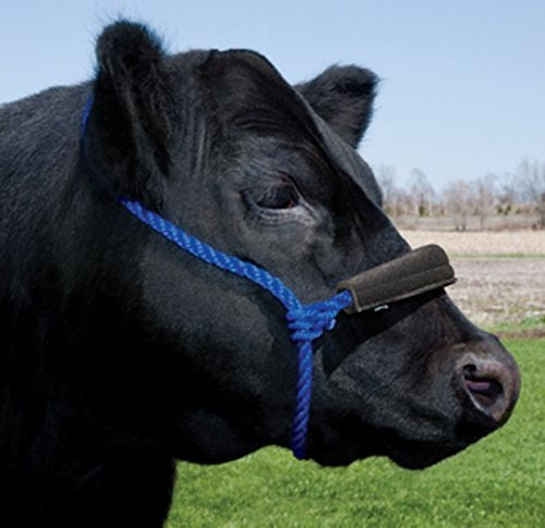 Neoprene Noseband Covers Black Set of 2