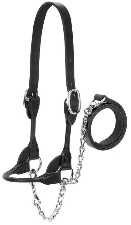 Dairy Beef Rounded Show Halter