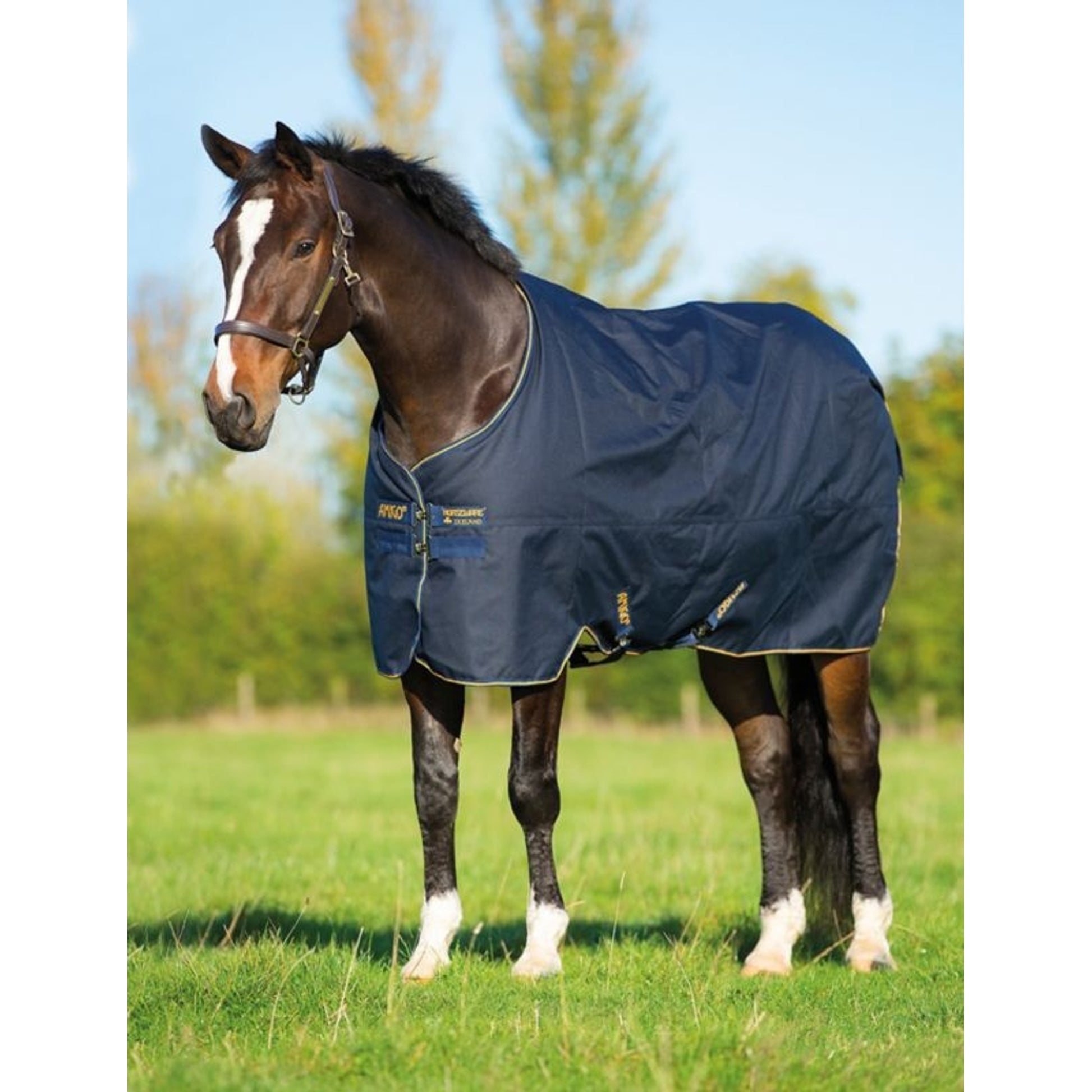 Amigo Bravo 12 XL Turnout Blanket 250g