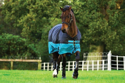 Mio Turnout Blanket Medium