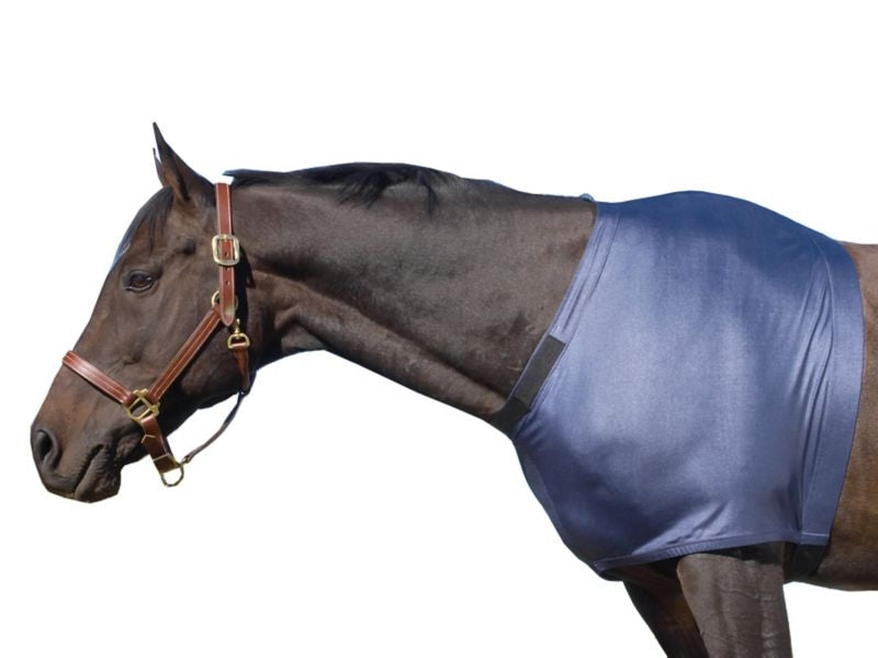 Equi-Essentials Stretch Shoulder Guard