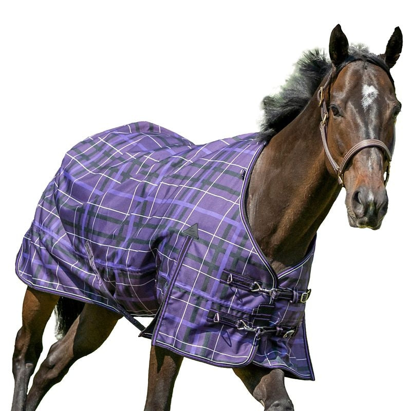 Pessoa Alpine Turnout Sheet 70 Clay/Amethyst