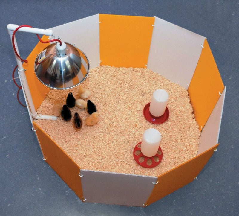 Farm Innovators Baby Chick Starter Home