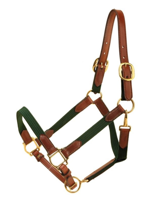 Tory Leather and Cotton Web Halter