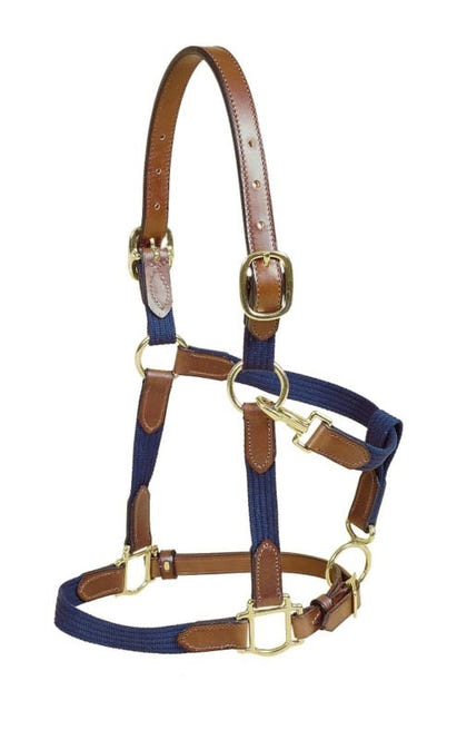 Tory Leather and Cotton Web Halter