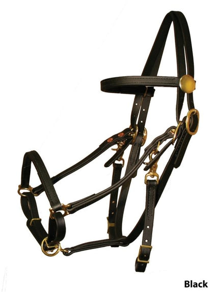 Tucker Beta BioThane Bridle with Brass