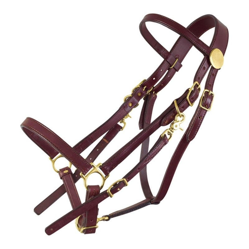 Tucker Halter Bridle Lite with Brass