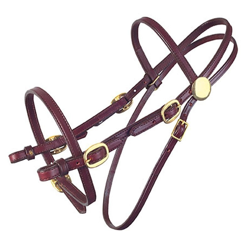 Tucker Pleasure Trail Bridle with Brass