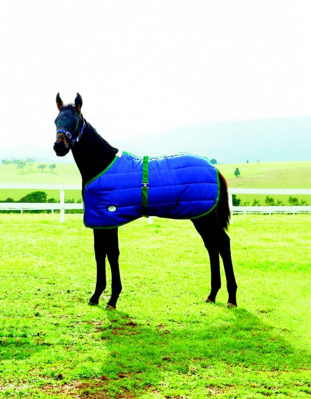 Weatherbeeta 420D Growing Foal Blanket