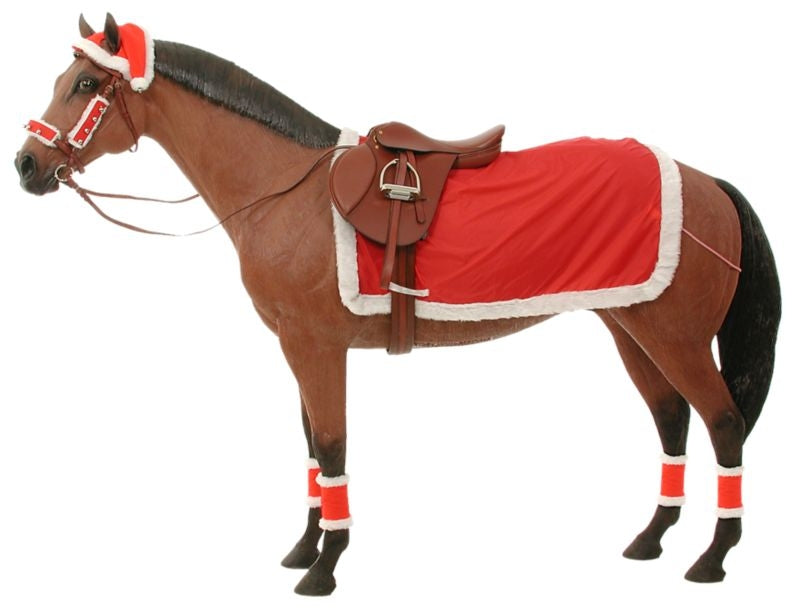 Complete Christmas Riding Set