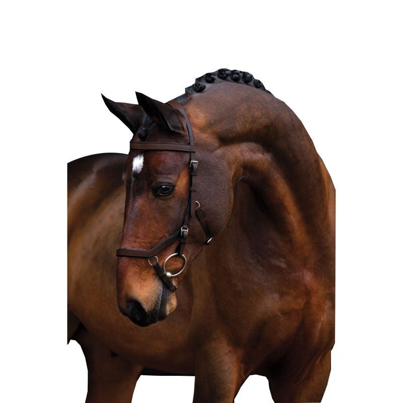 Rambo Micklem Competition Bridle