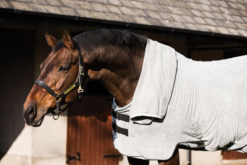 Rambo Dry Rug No Fill