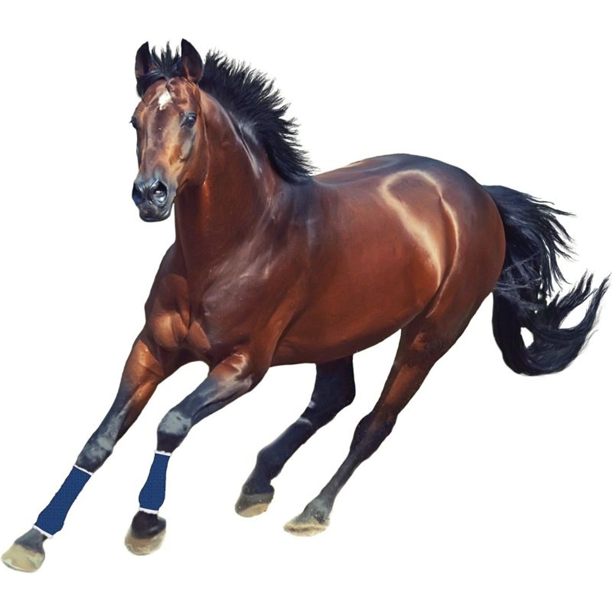 Corona Pure-Flex Flexible Bandage
