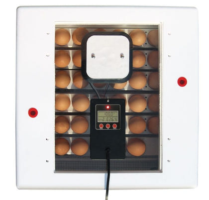 Digital Pro Series Circulated Air Incubator