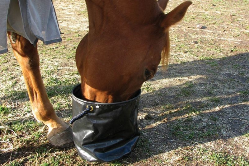 Cashel Collapsible Water Pail