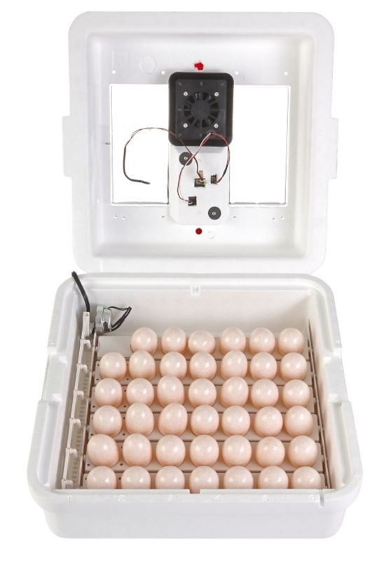Digital Circulated Air Incubator