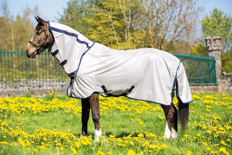 Amigo Mio Combo Flysheet