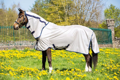 Amigo Mio Combo Flysheet