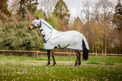 Amigo Mio Combo Flysheet