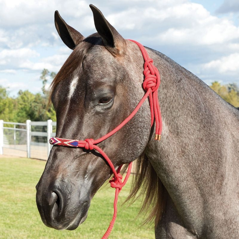 Professionals Choice Beaded Rope Halter