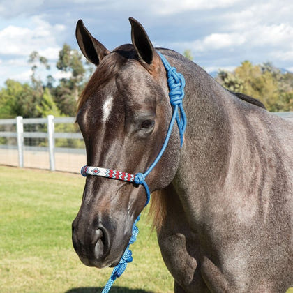 Professionals Choice Beaded Rope Halter