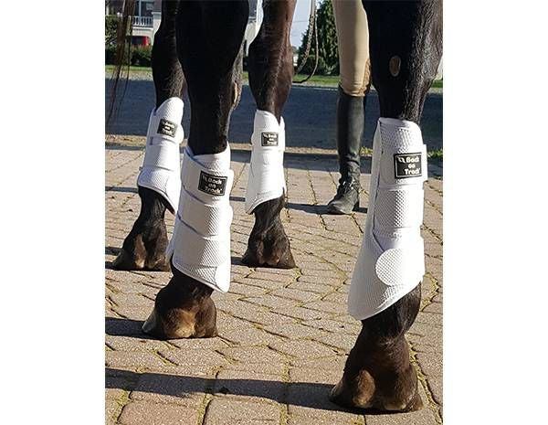 Back On Track 3D Mesh Plain Splint/Brush Boots