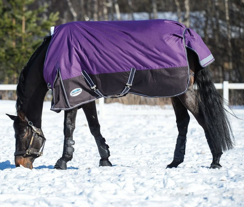 Weatherbeeta Comfitec Plus Dynamic Standard Neck
