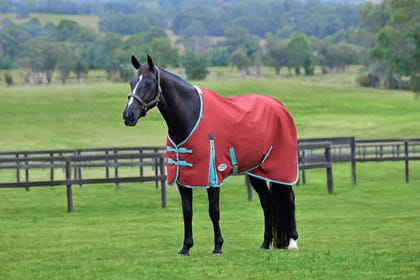 Weatherbeeta ComFiTec Essential Standard Neck Lite Blanket
