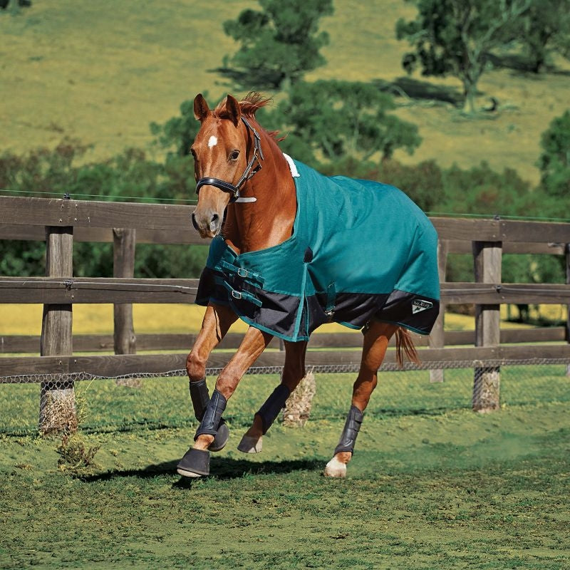 Saxon 1200D Standard Med Blanket