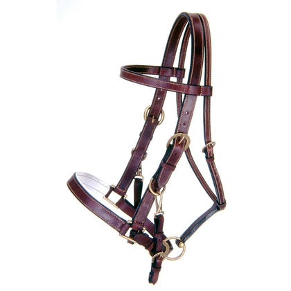 Australian Outrider Leather Bridle/Halter Combo
